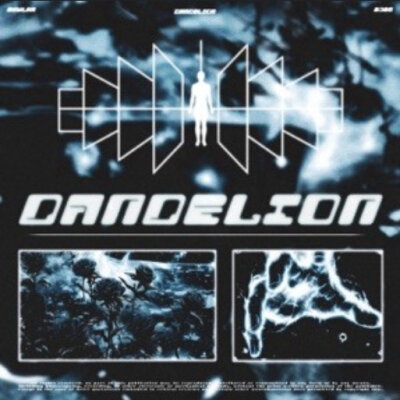 SKWLKR - DANDELION