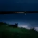Cole Hud - Красивая, зараза